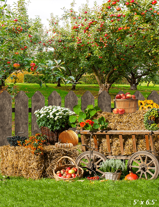 Autumn Harvest Background Rural Photography Backdrop SBH0619