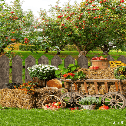 Autumn Harvest Background Rural Photography Backdrop SBH0619