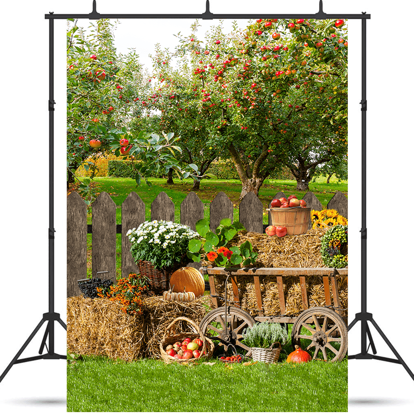 Autumn Harvest Background Rural Photography Backdrop SBH0619