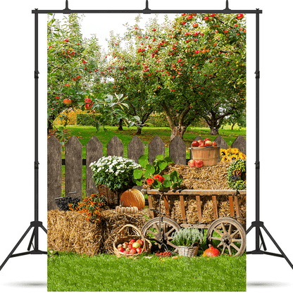 Autumn Harvest Background Rural Photography Backdrop SBH0619