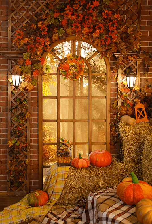 Autumn Farm Barn Window Pumpkin Hay Photography Backdrop SBH0620