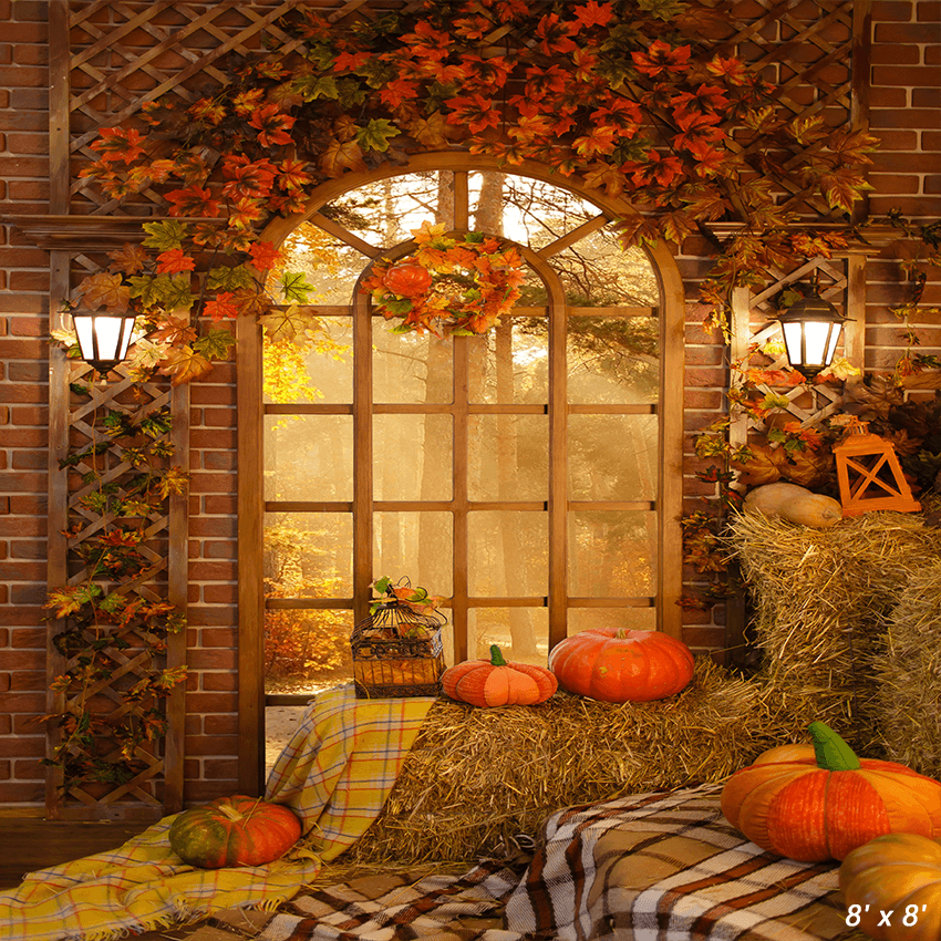Autumn Farm Barn Window Pumpkin Hay Photography Backdrop SBH0620