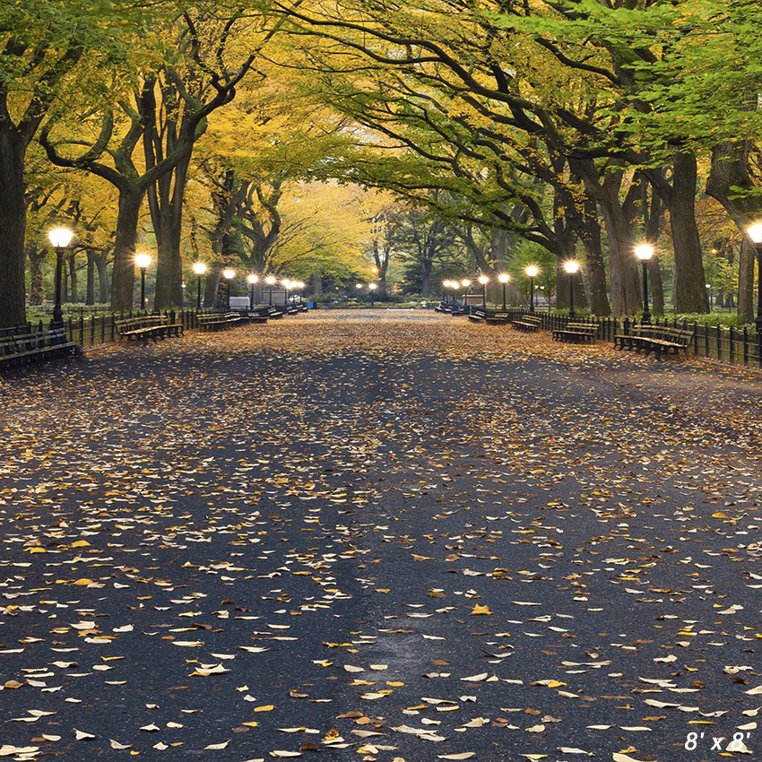 Autumn Central Park Literary Walk Photography Backdrop SBH0621