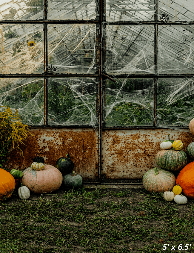 Pumpkin Greenhouse Halloween Backdrop for Photo SBH0626