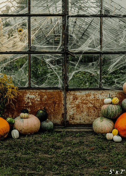 Pumpkin Greenhouse Halloween Backdrop for Photo SBH0626
