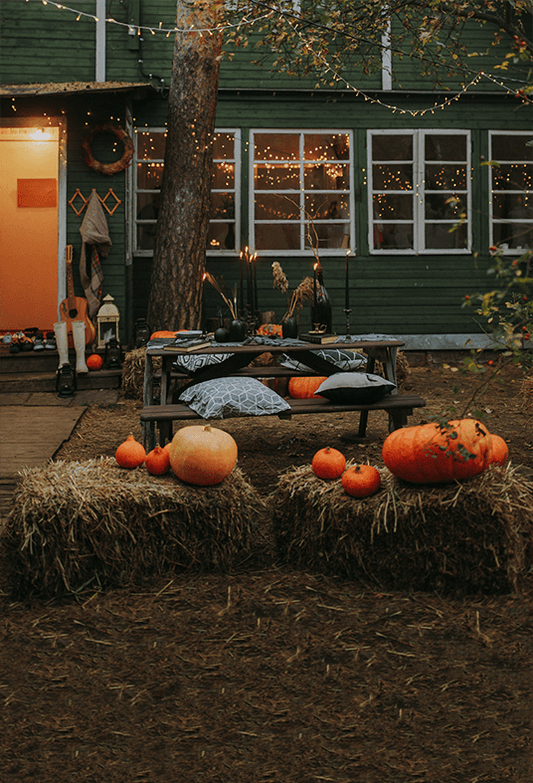 Thanksgiving Fall Pumpkin Maple Leaf Backdrop for Photo SBH0627