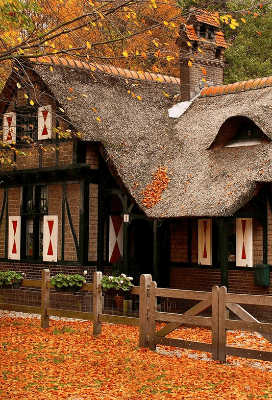 Big Wood House In Forest Fall Photography Backdrop SBH0633