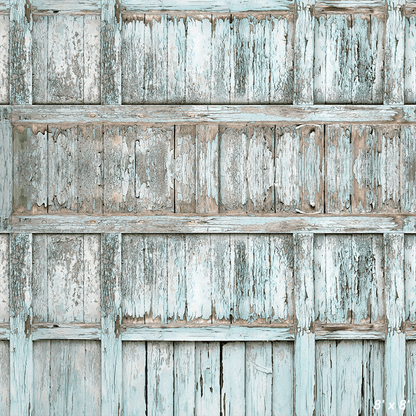 Paint-Peeling Wooden Old Door Backdrop for Photography SBH0642