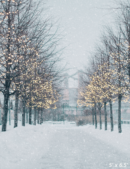 Blurred Winter Tree Falling Snow Backdrop for Photo SBH0645