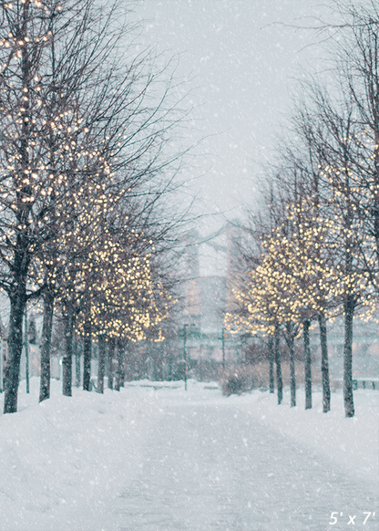Blurred Winter Tree Falling Snow Backdrop for Photo SBH0645