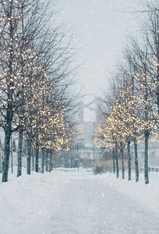 Blurred Winter Tree Falling Snow Backdrop for Photo SBH0645