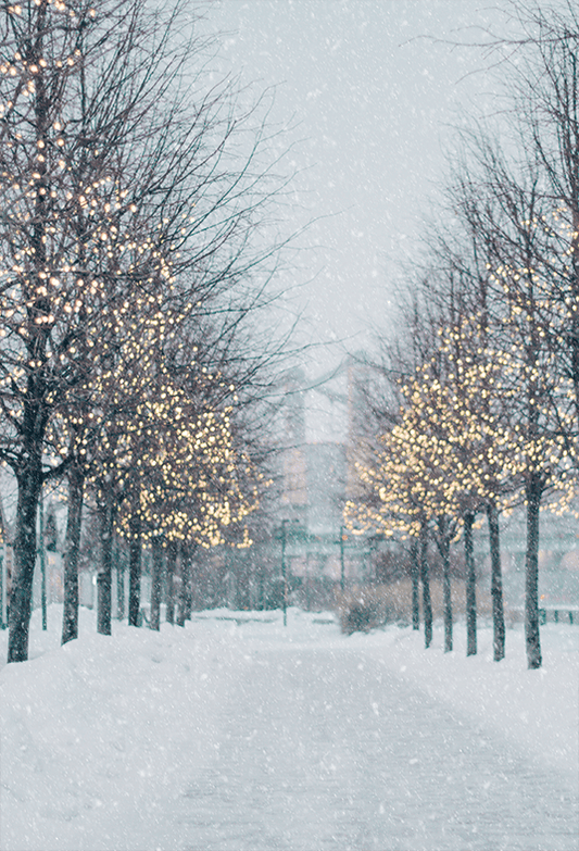 Blurred Winter Tree Falling Snow Backdrop for Photo SBH0645