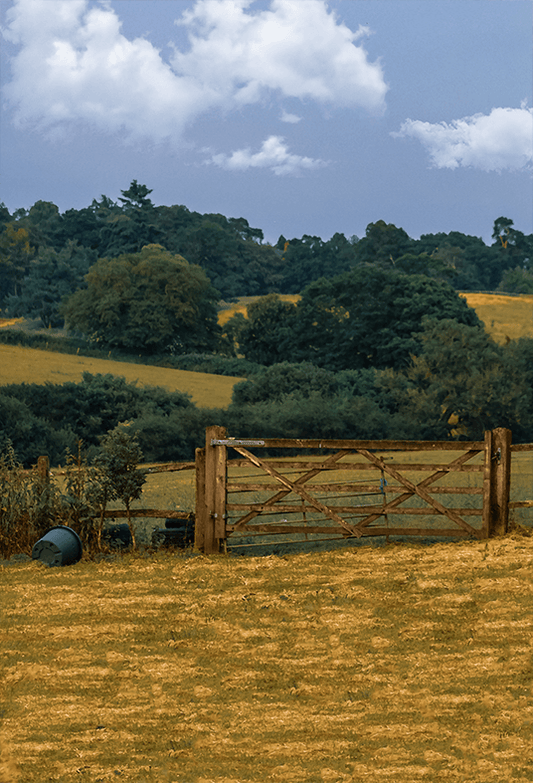 Brown Grass Field Under Beautiful Sky Background For Photo SBH0691