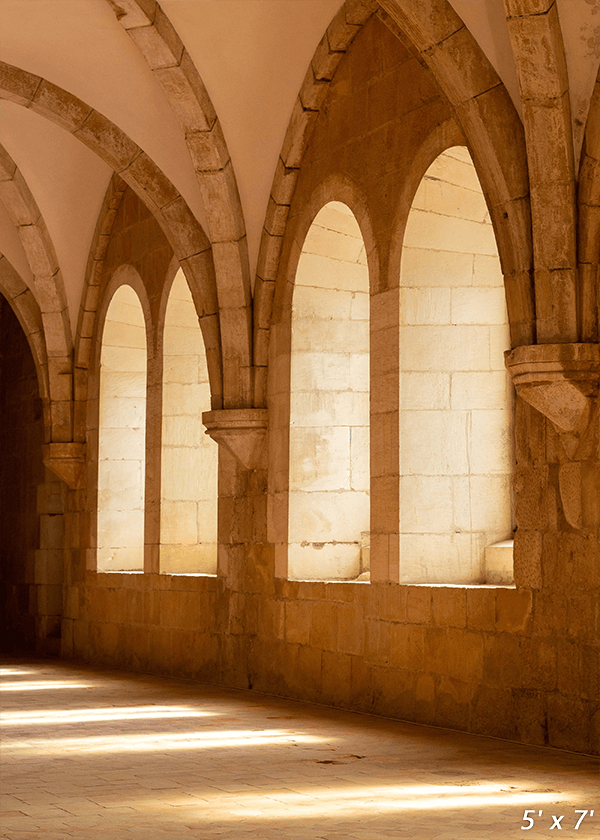Brown and White Concrete Building Fabric Backdrop for Photo SBH0701