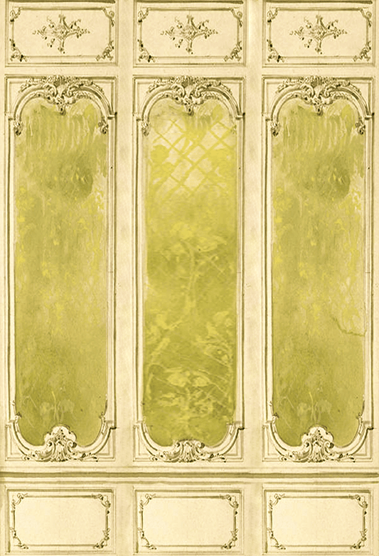 Vintage Green Classic Interior Wall Backdrop for Photography SBH0716