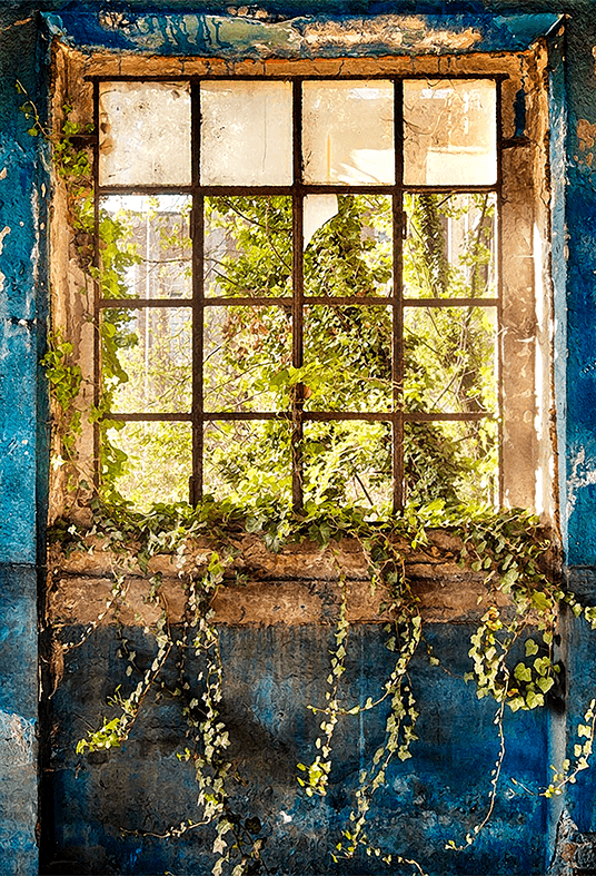 Eternal Spring Verdant Window Scenery Photography Backdrop SBH0730