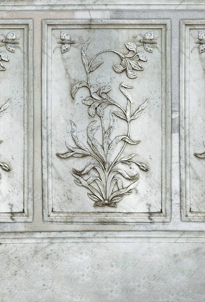 Elegant Marble Relief with Floral Motif Photography Background SBH0744