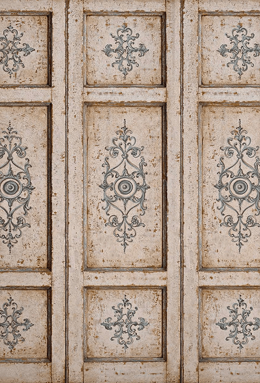 Rustic Vintage Ornate Panel Photography Background SBH0755