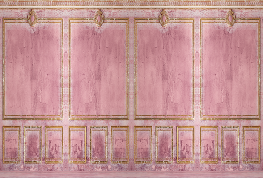 Pink Classic Wall Old Gold Stucco Backdrop for Photo SBH0757