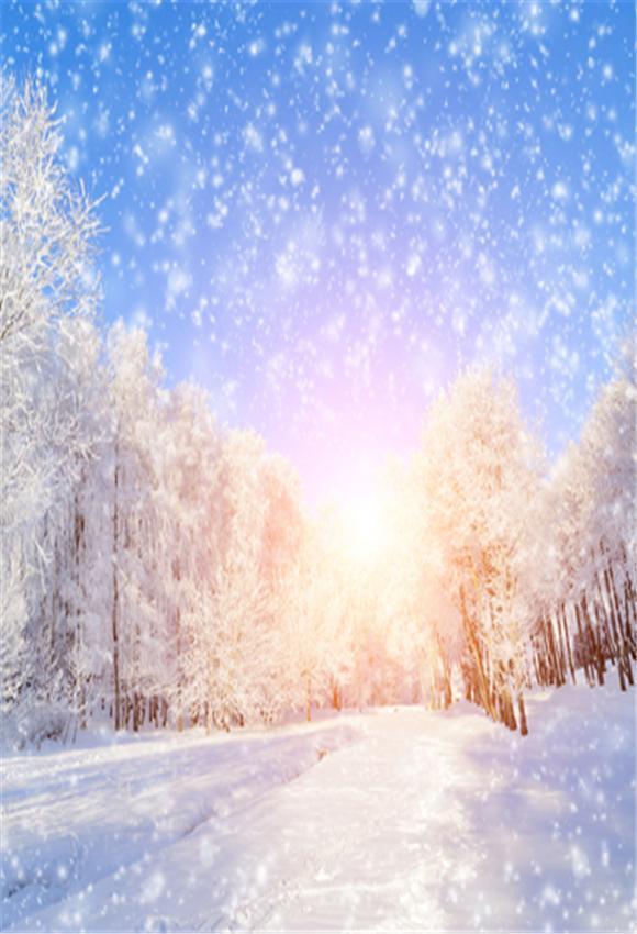 Snowflake Sunset Winter Photo Backdrop
