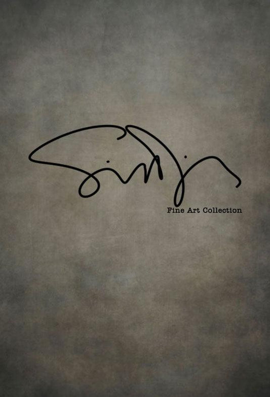 Abstract Portrait Backdrop for Photography Design Simon Diez - TEXTURE#02