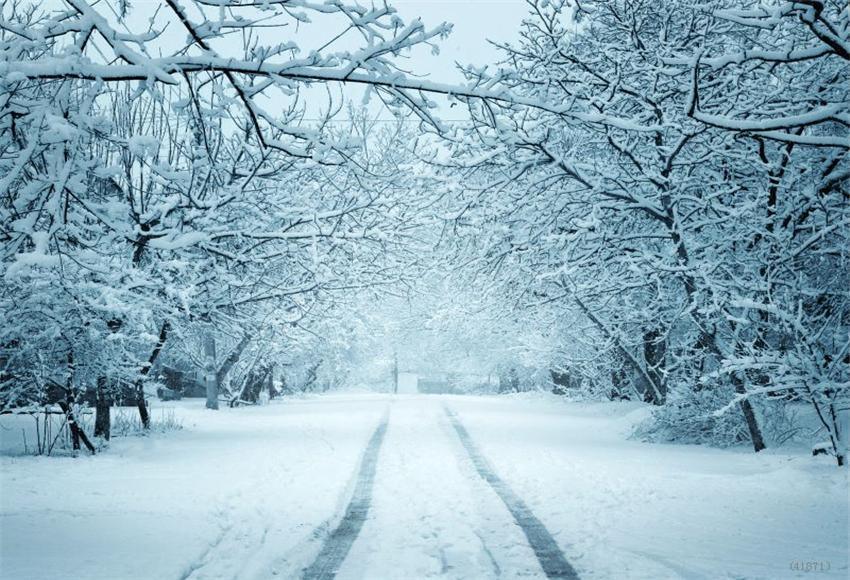Snow Branches Winter Photo Studio Backdrop