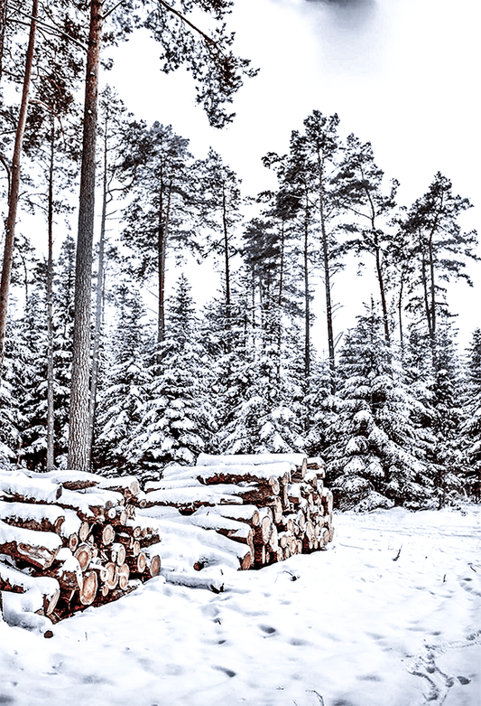Winter Snow Wood Backdrop Photography photography
