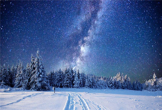 Winter Snow of Night Photography Backdrop