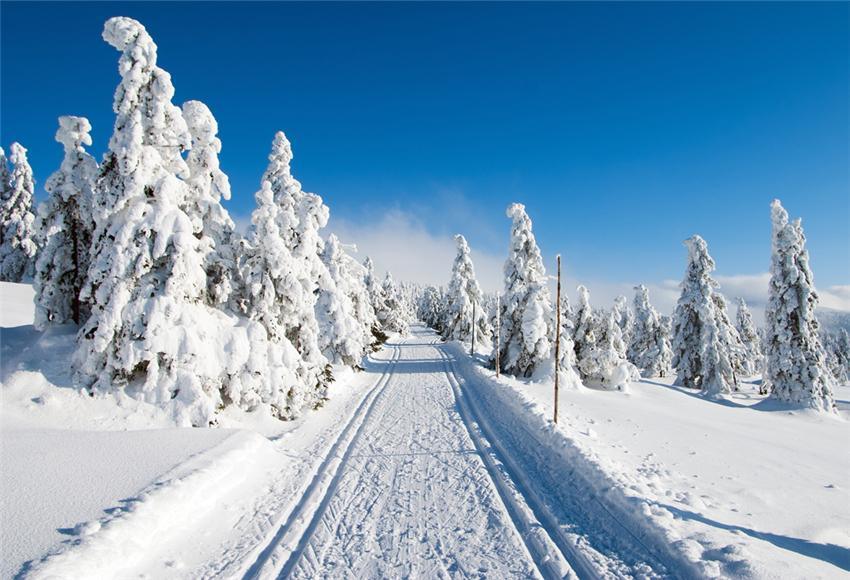 Mountain Snow Blue Sky Winter Photography Backdrop