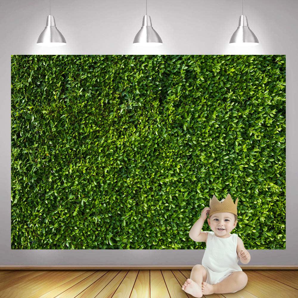 Spring Nature Green Lawn Leaves Backdrop for Photography Grass Background